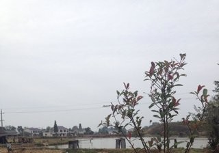 坪塘八曲活水钓鱼