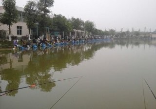 凤辉养殖专业合作社