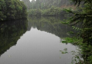 清水塘农家鱼塘