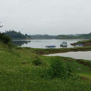 大洪湖老百信农家乐