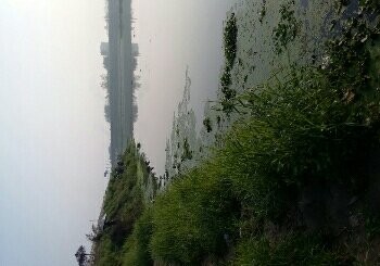 斜江河大桥钓场