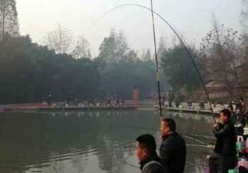 江渔郎休闲钓鱼岛赌塘欢乐塘