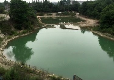 花花店泉水生态鱼塘