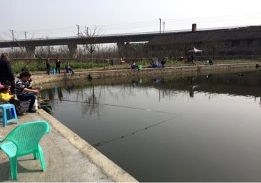 龙门连连看垂钓园
