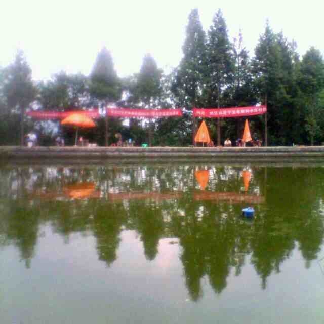 山顶欢乐休闲鱼塘