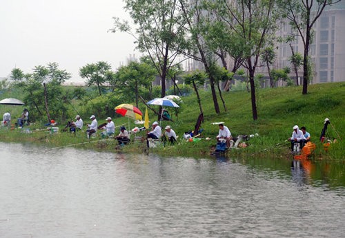 老卢垂钓园钓场