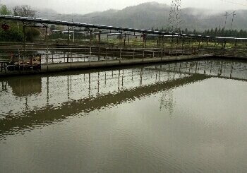 西域之油山农庄