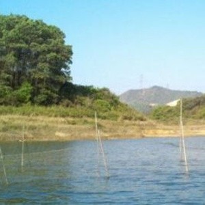 黄龙湖钓场