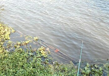 老红山砖厂库塘