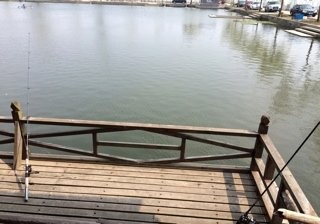 常州市勤丰蔬菜研究所