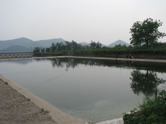 山野卧龙泉旅游观光园