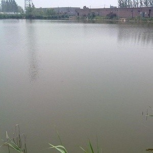 杨庄子码头垂钓场