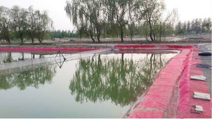 顺通虹鳟鱼养殖中心