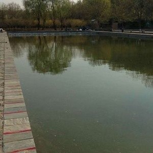 兴龙源垂钓园
