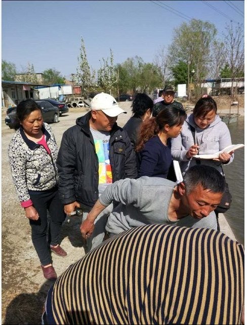 上庄顺欣垂钓园