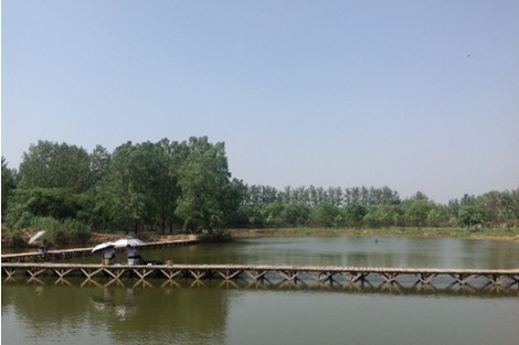 彭氏丰台私钓俱乐部