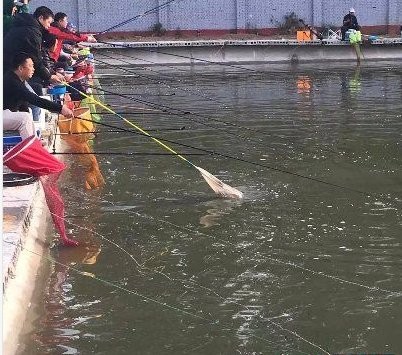 大兴三体校垂钓园