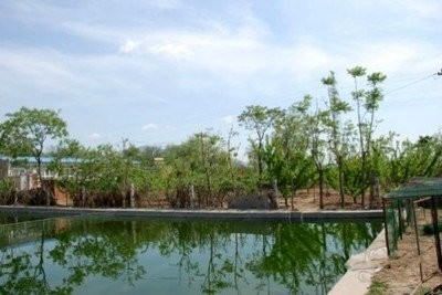 诚信垂钓休闲园