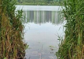莲石湖湿地公园