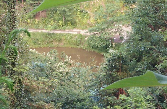 玉盘池钓鱼山庄