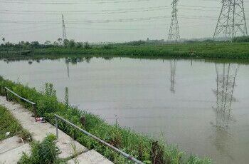 小天地垂钓中心