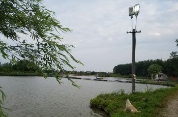 漳显本色垂钓园