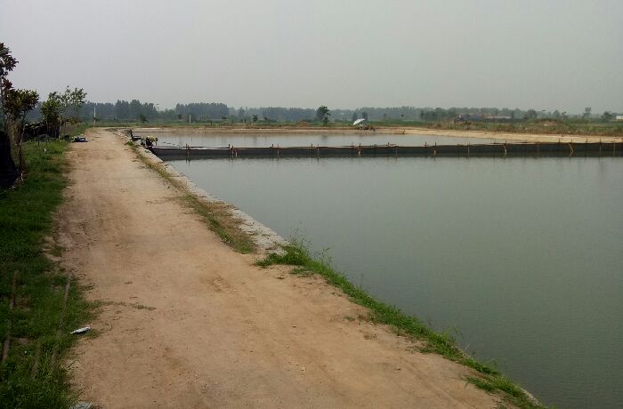 杨营·中州垂钓园（原·渔人码头）