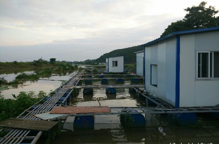 乌鸦山老胡钓排