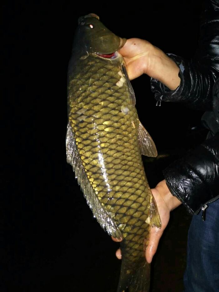 亚洲第一土坝毛家村水库