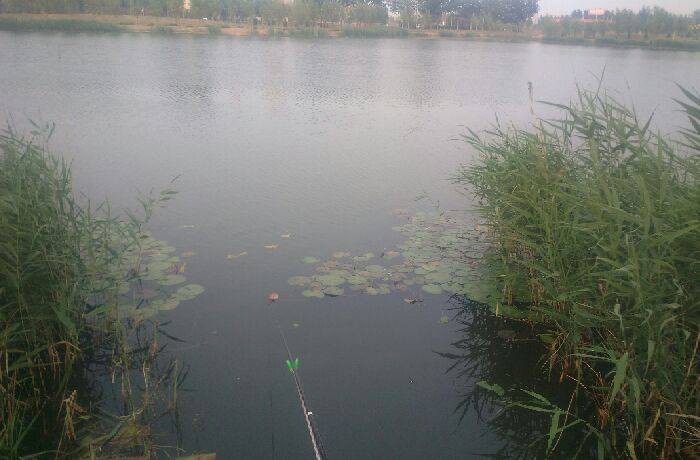 琉璃庙人工湖