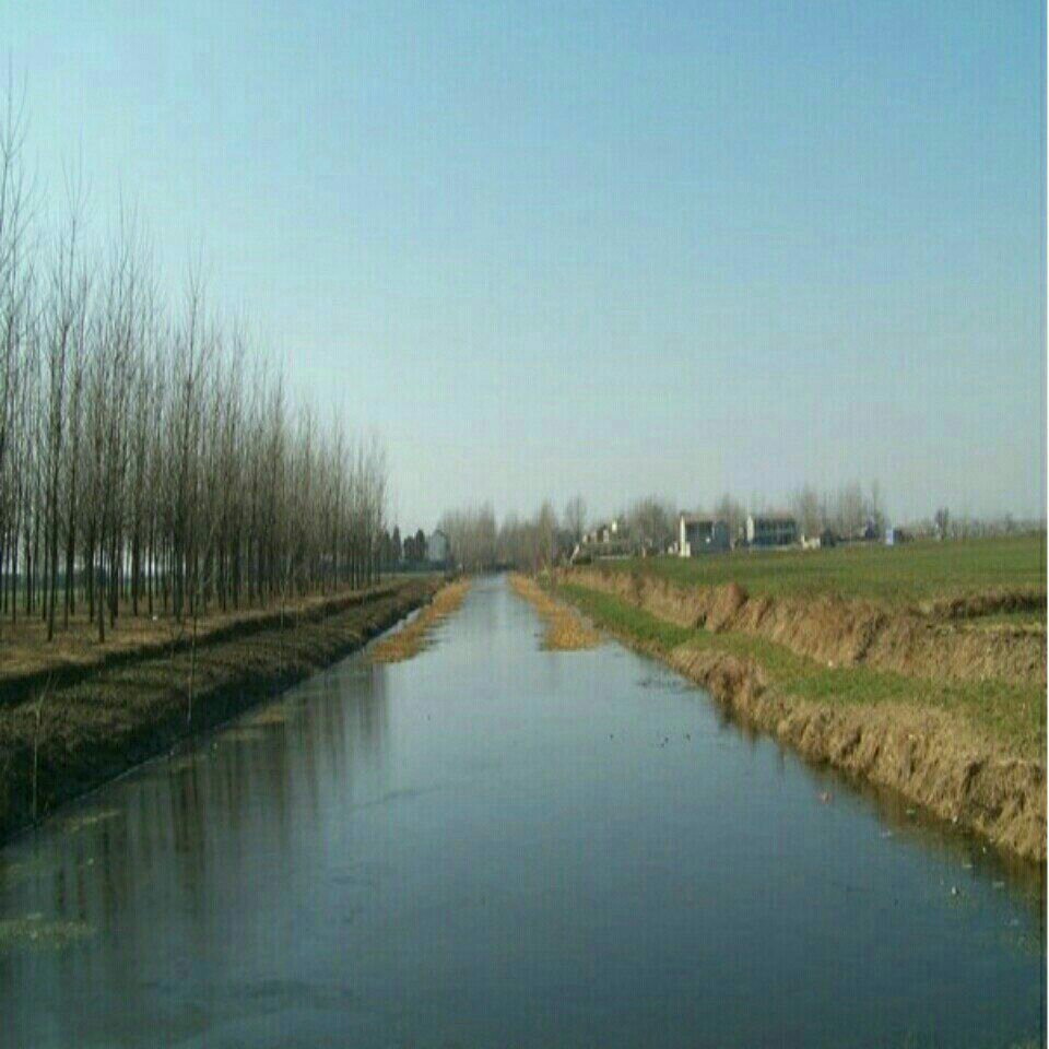 高畈村附近蓄水河