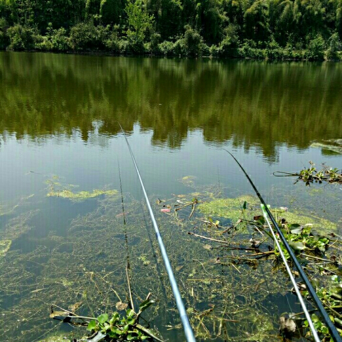 大盛东河长明水库