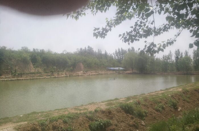 望京楼自然居大型鱼塘