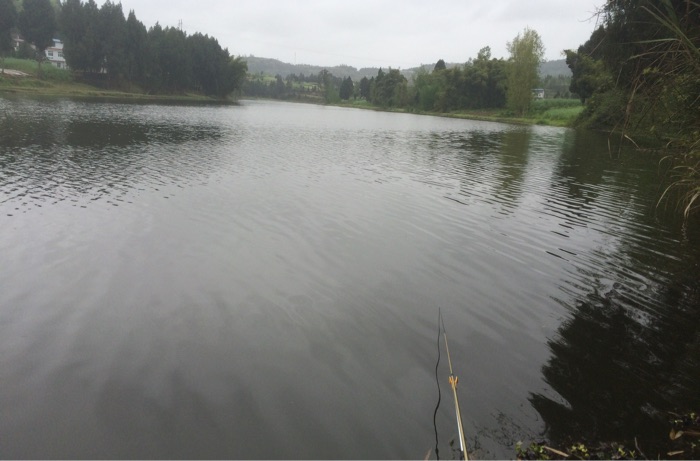 仪陇县岐山乡龙神沱