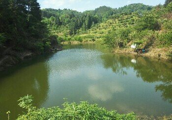 月吾休闲垂钓中心