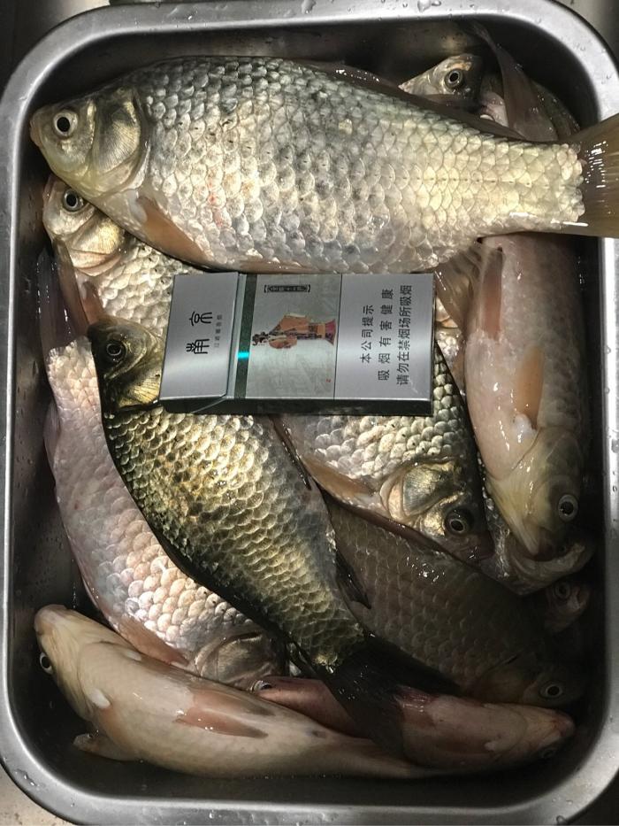 原生态垂钓中心