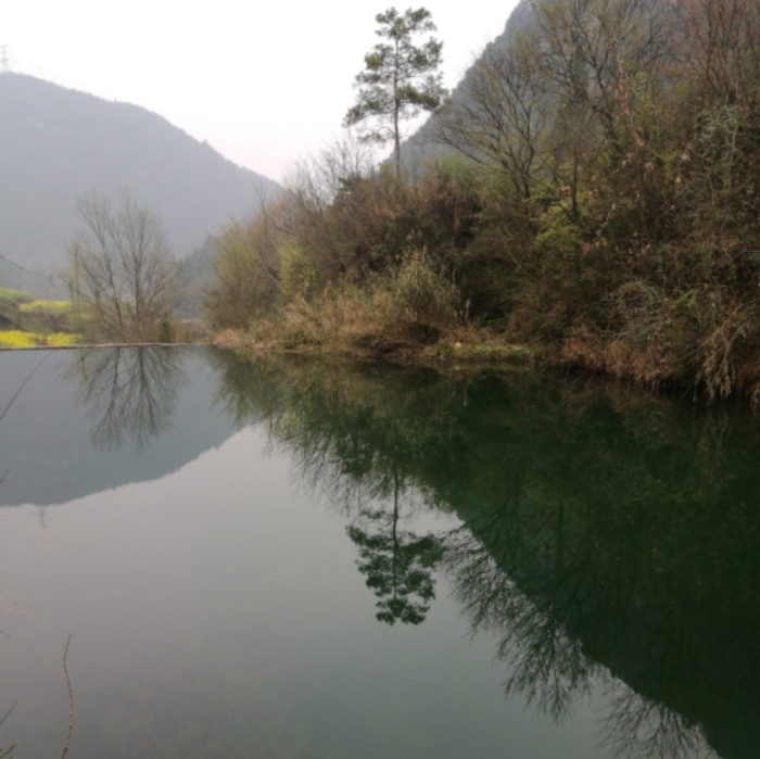 柏木坪村胡家坪水库