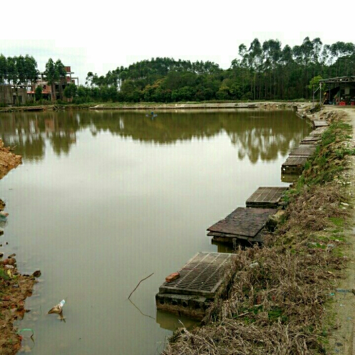 顺城钓鱼场
