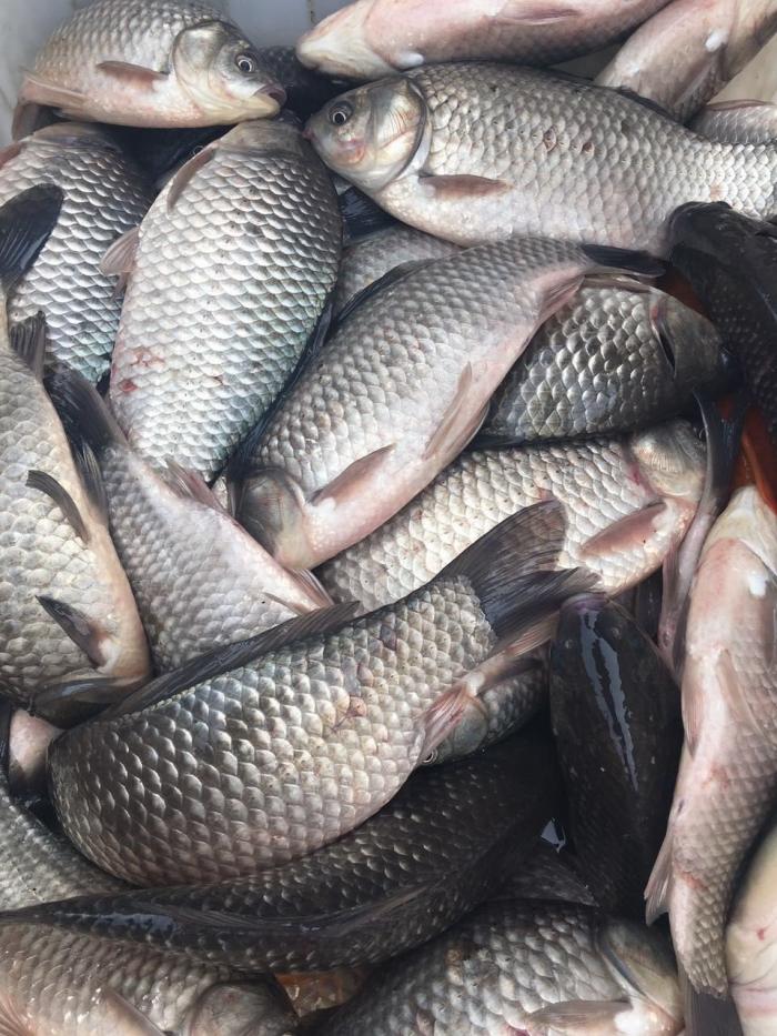 优启生态农庄慕湾水库垂钓