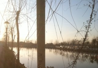 王楼假日垂钓中心