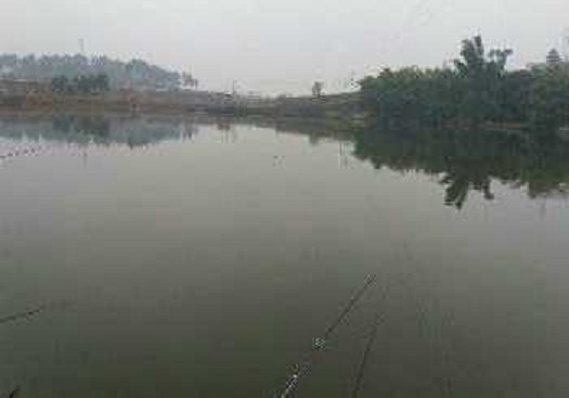 龙洞钓鱼场