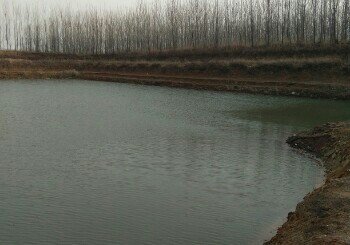 小刘家疃垂钓园