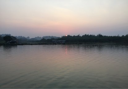 石古墩垂钓中心