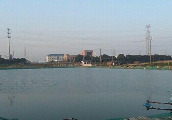 浮桥上富大物钓场