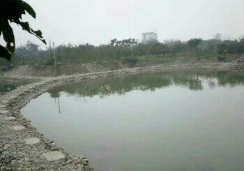 红桔林生态农家乐