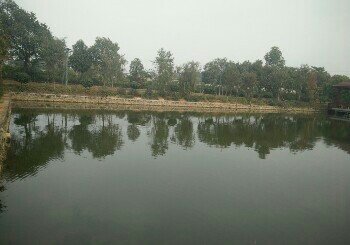 航天基地钓鱼场