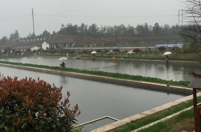 金太阳休闲农庄