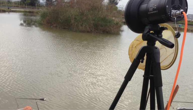 七都老涂建文鱼塘