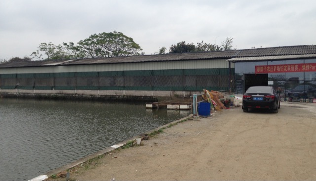 廖胖子农庄钓场