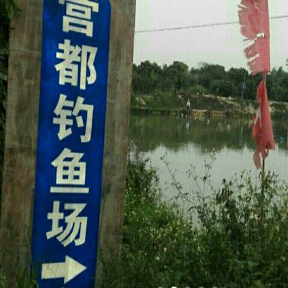 营都钓鱼场